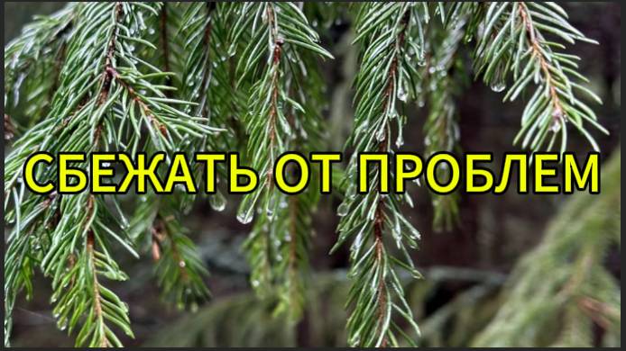 Сбежать от проблем смотреть онлайн