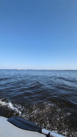 Hdx 5 л.с + profmarine pm 320 cl