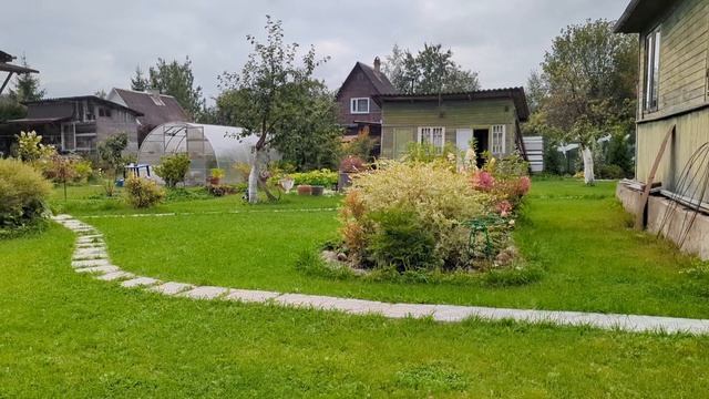 08-09-2025.Дача.Гоняю птиц..Поставили на грядку защиту от крота ..сетку) смотреть онлайн