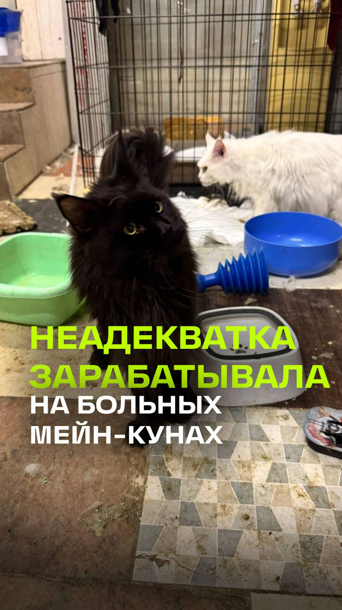 Телеканал 360