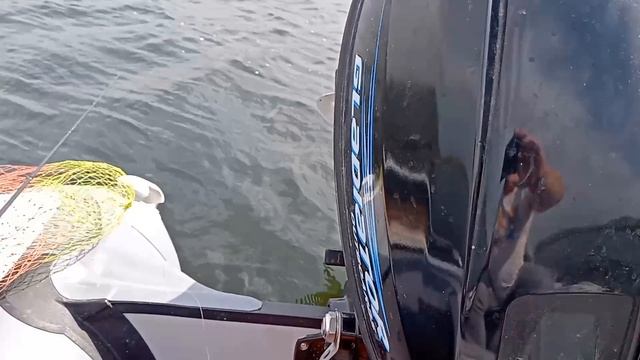 2.09.2025 САМАРА ловим судака в сильный ветер.