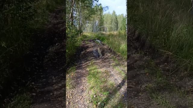 Красоты России смотреть онлайн