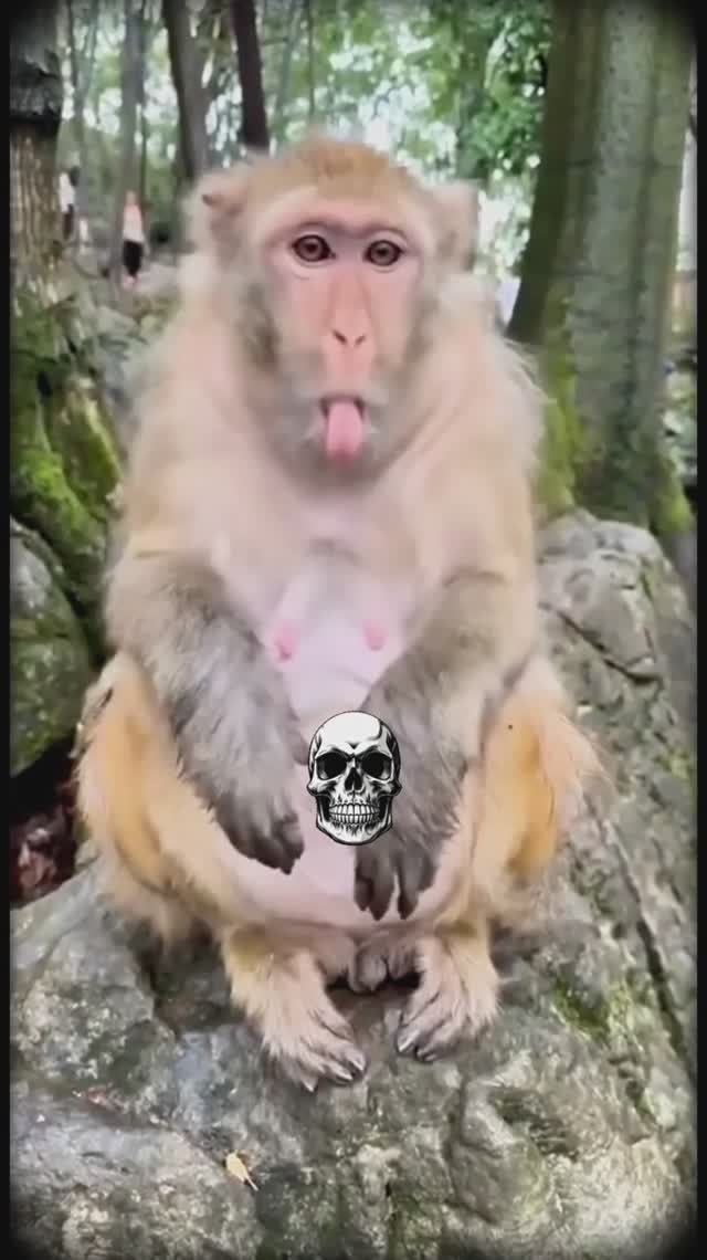 ЯЙЦО смотреть онлайн