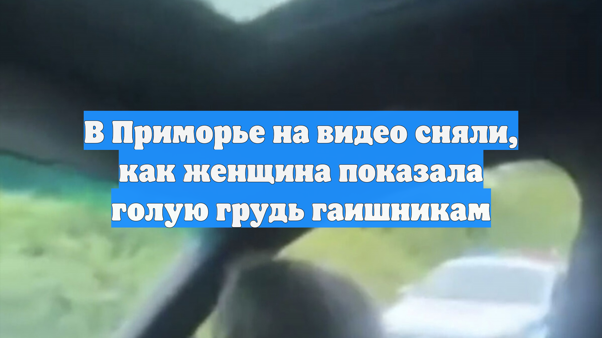 Первый Новостной