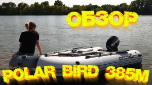 ОБЗОР лодки Polar Bird 385M NEW Merlin «Кречет» 👍👍👍 Лодочный мотор Toyama T9.9BMS ТЕСТ 💪