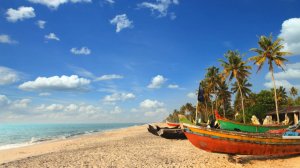 Керала и аюрведа. Возможности оздоровительного отдыха в Индии