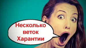 Несколько веток Харантии _ Мошенники звонят по телефону