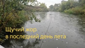 ОСОБЕННОСТИ ЛОВЛИ ХИТРОЙ ЩУКИ ПО ЧИСТОЙ ВОДЕ. ПОКЛЕВКИ ТОЛЬКО НА ЭТУ ПРИМАНКУ.