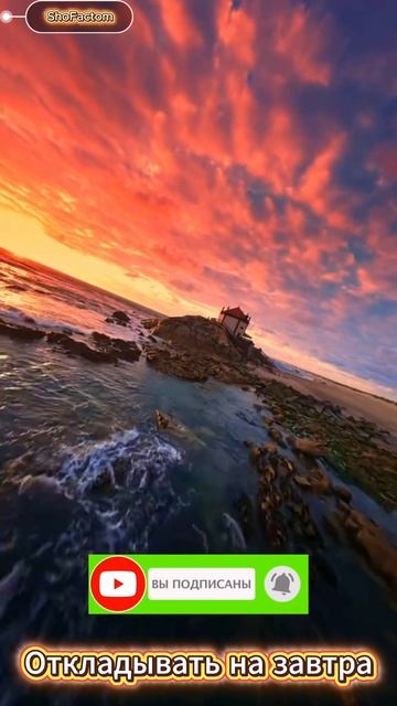 Откладывать на завтра — ошибка жизни