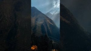 Тузов Игорь - Без тебя скучаю я