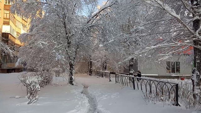 Снег в ноябре