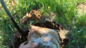 Коп по войне.Серия130. Первая пряга в сохране! (1)