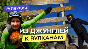 На Килиманджаро без опыта: как мой отдых на Занзибаре закончился восхождением на 6000м?