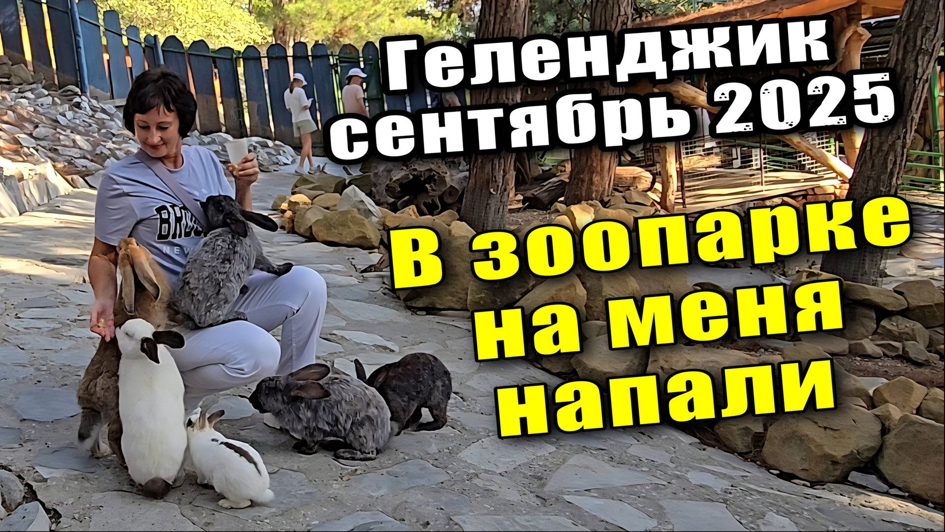 Геленджик сентябрь 2025 Экскурсия в зоопарк под горой / Внезапная атака на меня