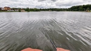 Мини обзор Dayo Demonic окунь на каждом забросе!