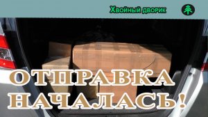 Отправка оплаченных заказов началась, сезон осень 2025 года.