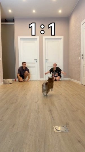 Это не справедливо🫠 #морозовы #юмор #отношения #собака