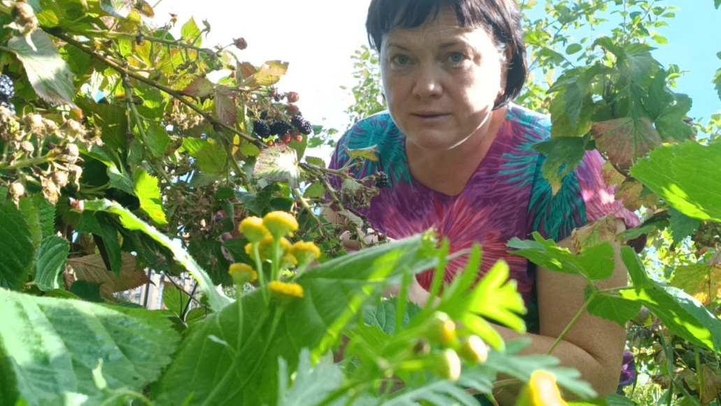 Нельзя желать конечно,но.... Компот ассорти🍎 смотреть онлайн