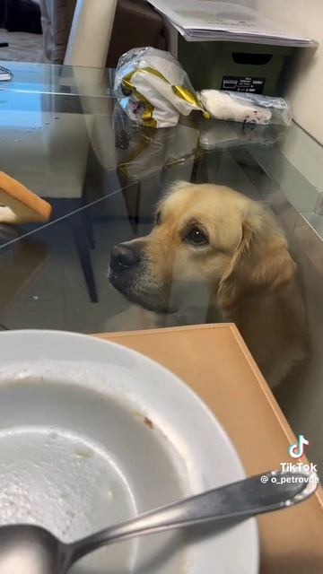 прозрачный стол #shorts