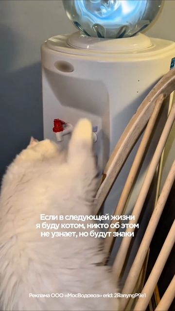 Заказать воду и кулер можно в удобном приложении или на сайте vodovoz.ru 🥹 смотреть онлайн