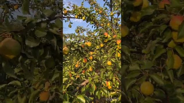 Дом у моря смотреть онлайн