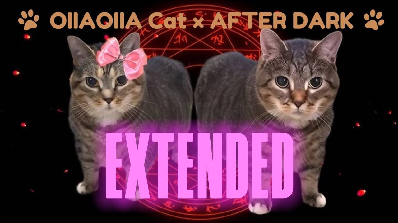 OIIAOIIA CAT × AFTER DARK (EXTENDED)