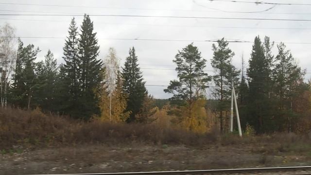 Екатеринбург - Шаля, вид из окна поезда (Транссибирская магистраль, Урал). смотреть онлайн