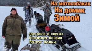 Застряли на мотособаках в тайге. Выживаем зимой в лесу.