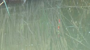 Не делайте так никогда! Рыбалка на поплавок!