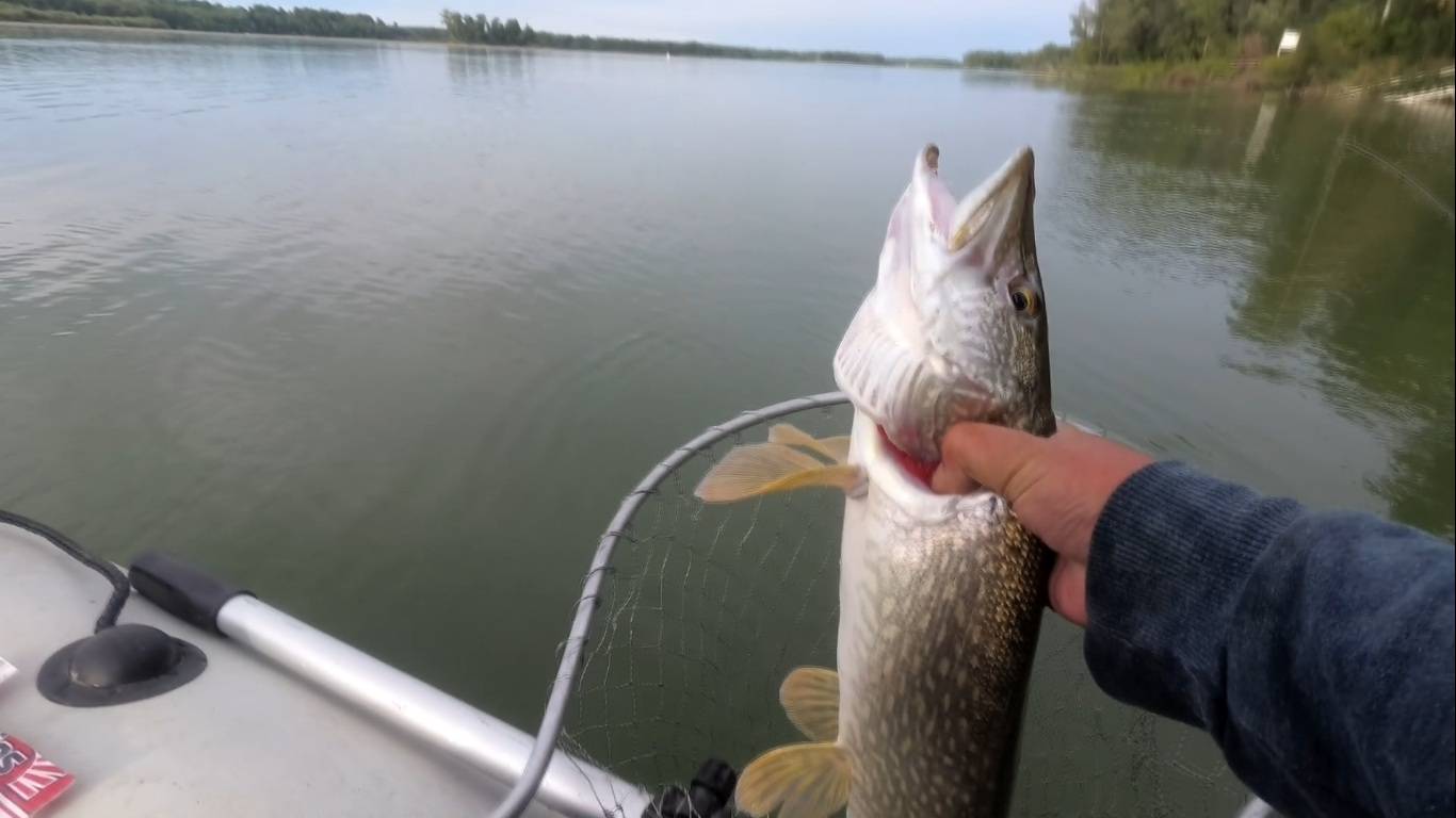 Один на реке! Попал на жор доброй щуки смотреть онлайн