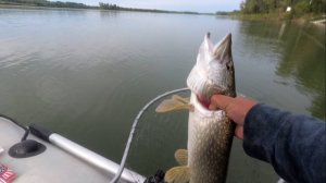 Один на реке! Попал на жор доброй щуки