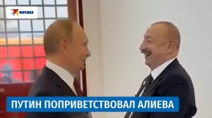 Путин и Алиев поприветствовали друг друга в Пекине