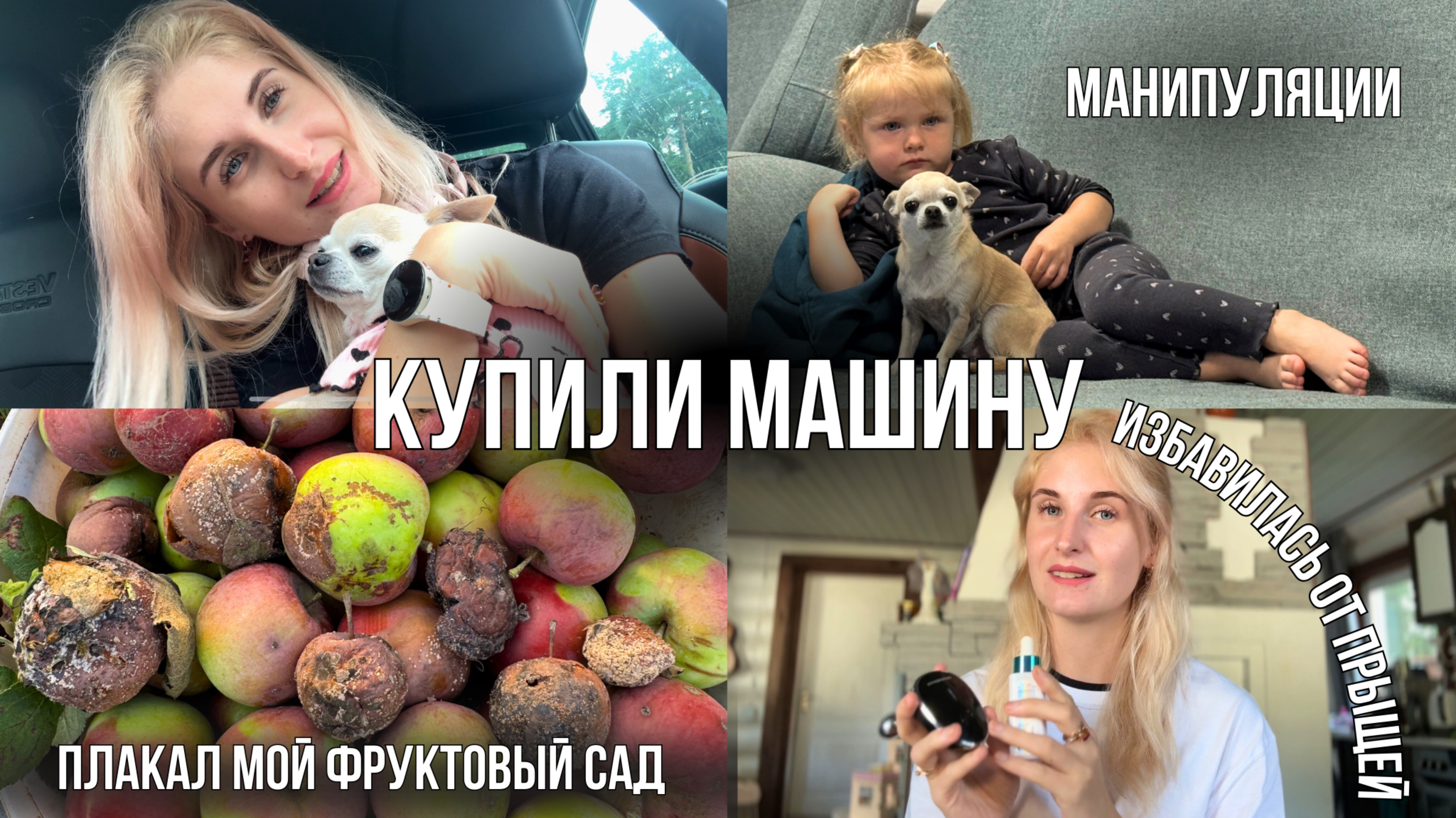 КУПИЛИ МАШИНУ🥳 Первые попытки манипуляций 😏 МОНИЛИОЗ 🫣 плоды гниют на ветке 🍏 ЛЕЧУ КОЖУ Ми