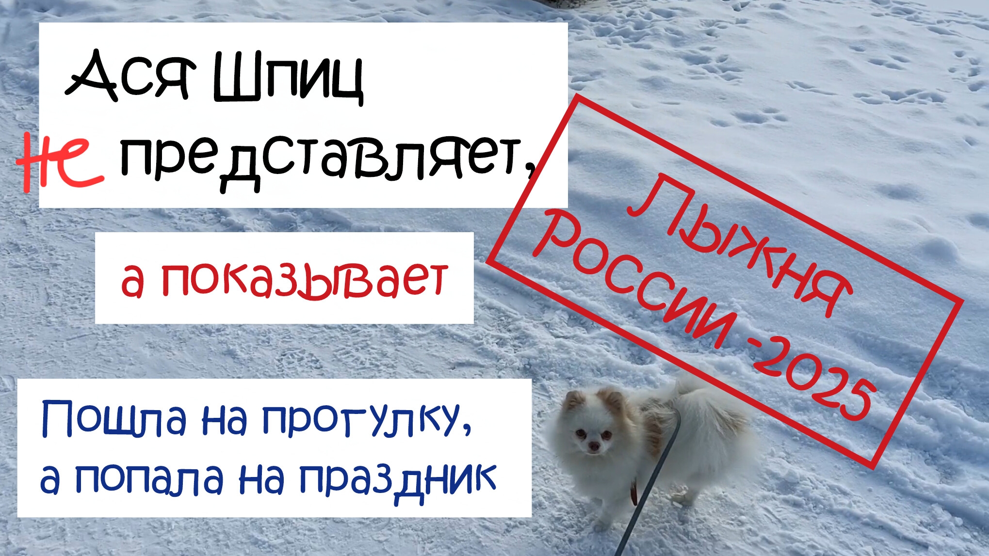 Пошли на прогулку с собакой, а попали на Лыжню России смотреть онлайн