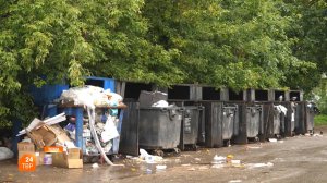 Раздельный сбор мусора | Тема