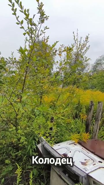 г. Череповец, с/т №8 "ЧМХС", участок 38 смотреть онлайн