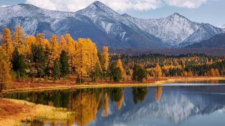 Vlad_Vel_Mix_Comeback_2025