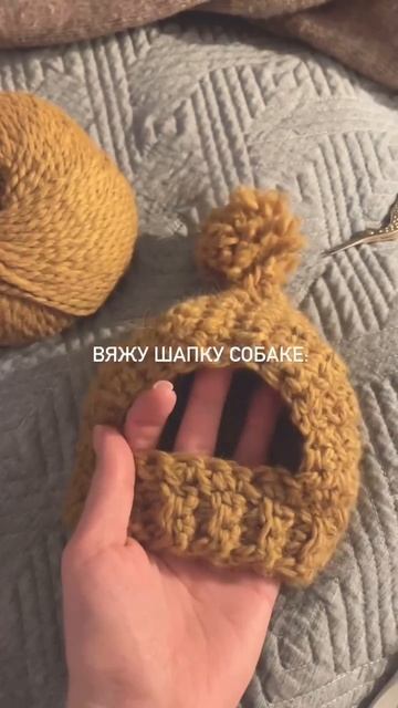 шапка для собаки #shorts