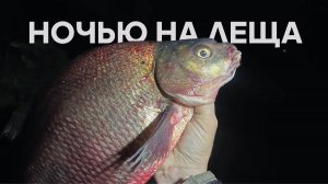 РЫБАЛКА НОЧЬЮ НА ЛЕЩА! Думал КЛЕВА не будет, но ЛЕЩ клевал.