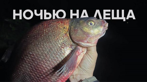 РЫБАЛКА НОЧЬЮ НА ЛЕЩА! Думал КЛЕВА не будет, но ЛЕЩ клевал.