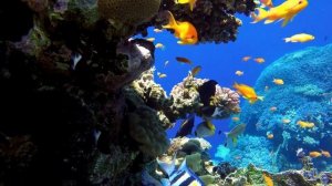 РАССЛАБЛЯЮЩАЯ МУЗЫКА ДЛЯ ДУШИ УСПОКАИВАЮЩАЯ МУЗЫКА ДЛЯ СНА