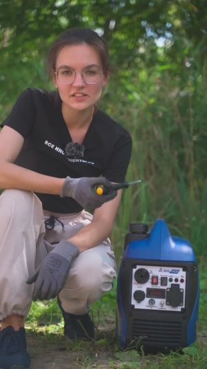 Инверторный генератор ТСС SGG