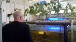 Изготовление узв для раков АККР.