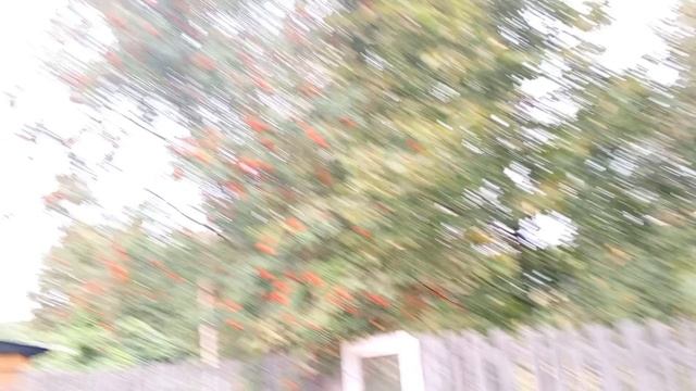 Летом день год кормит. смотреть онлайн