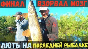 ФИНАЛ ВЗОРВАЛ МОЗГ! ЛЮТЬ НА ПОСЛЕДНЕЙ РЫБАЛКЕ