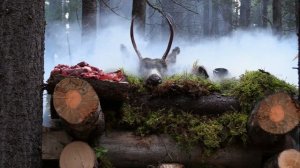 В изоляции 8 сезон 6 серия «Копчёные» (документальный сериал, 2021)