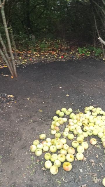 Что это ? подскажите пожалуйста !!! смотреть онлайн