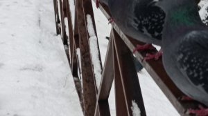 Спиридоновский пруд. *Оденьте.женщину в любовь* Получите дивиденды. Ведь это ваше ☺✨счастье