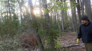 В изоляции 8 сезон 2 серия «Открытый сезон» (документальный сериал, 2021)