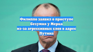 Филиппо заявил о приступе безумия у Мерца из-за агрессивных слов в адрес Путина